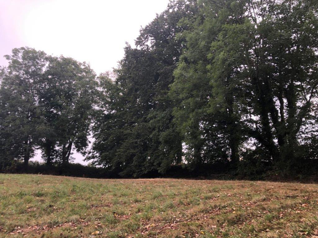 Terrain - BRETTEVILLE DU GRAND CAUX