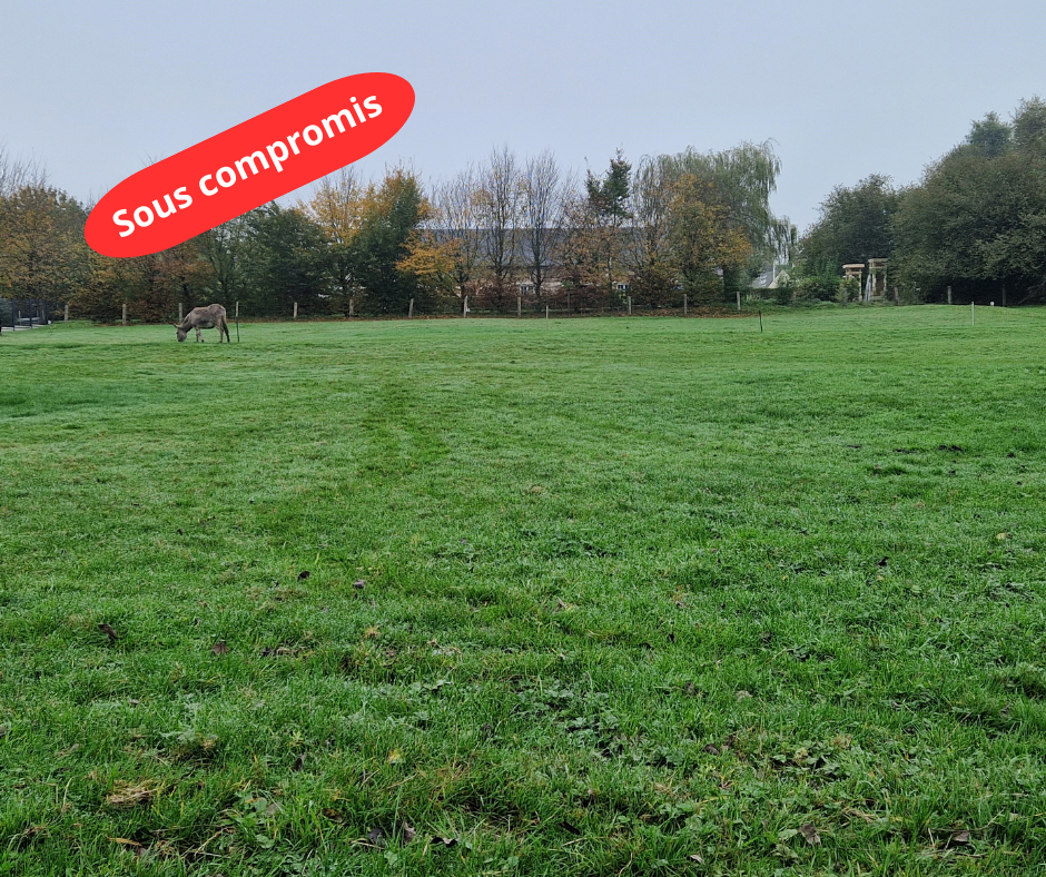 Terrain - SAINT ROMAIN DE COLBOSC