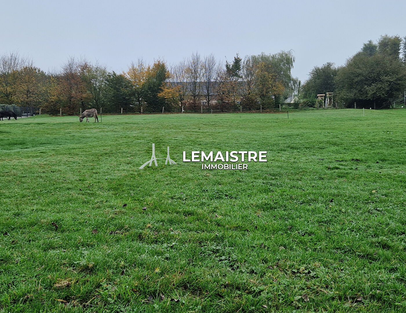Terrain - SAINT ROMAIN DE COLBOSC