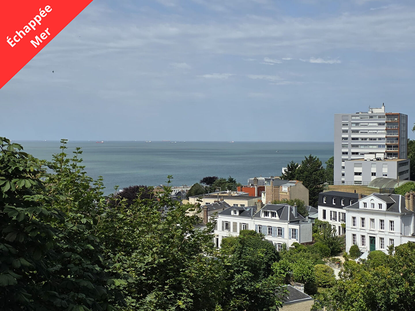 Appartement - LE HAVRE