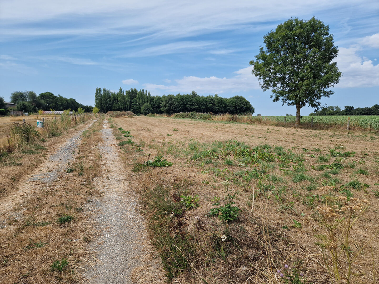 Terrain - GRUCHET LE VALASSE